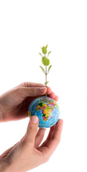 banner_gabriel_mateus