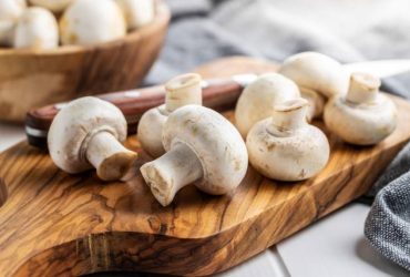 cogumelos-poderao-diminuir-o-risco-de-cancro-e-de-mortalidade-especialmente-se-substituirem-a-ingestao-de-carne-vermelha