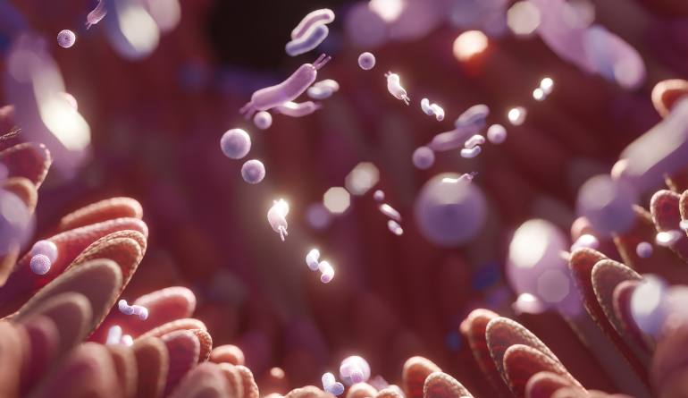 microbiota-gabriel-mateus