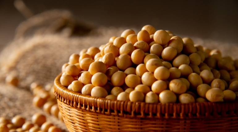 uma-dieta-vegana-rica-em-soja-podera-diminuir-os-sintomas-de-menopausa