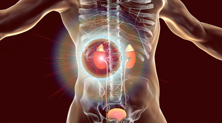 a-oms-alerta-para-os-perigos-dos-desreguladores-endocrinos-presentes-em-quase-tudo