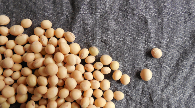 a-soja-e-outros-alimentos-podem-ajudar-a-prevenir-o-cancro-da-prostata