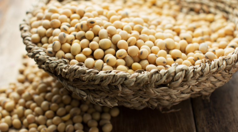consumo-de-soja-pode-diminuir-risco-de-recidiva-no-cancro-da-mama
