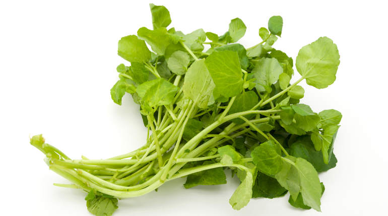 cruciferas-podem-reduzir-risco-de-cancro-do-pulmao-entre-fumadores