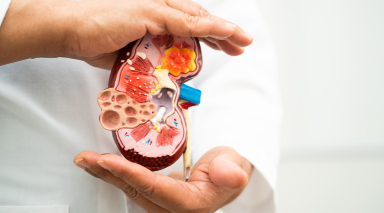 doencas-cronicas-e-cancros-secundarios-em-adulto-apos-tratamentos-a-cancros-infantis