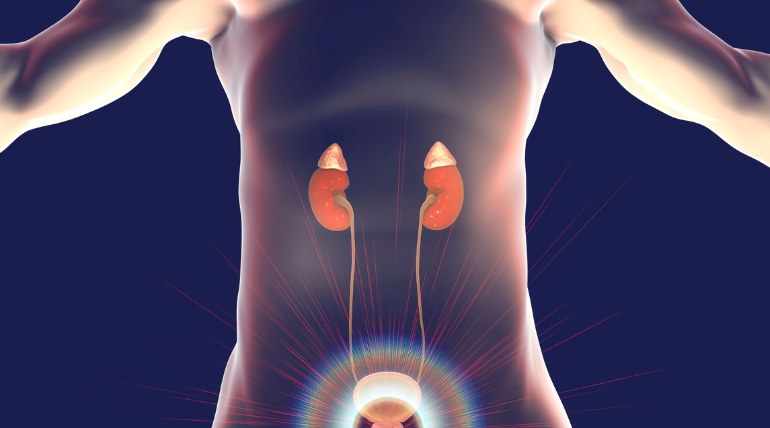 fazer-uma-vigilancia-ativa-e-alterar-dieta-pode-ser-mais-eficaz-no-cancro-da-prostata-do-que-tratar