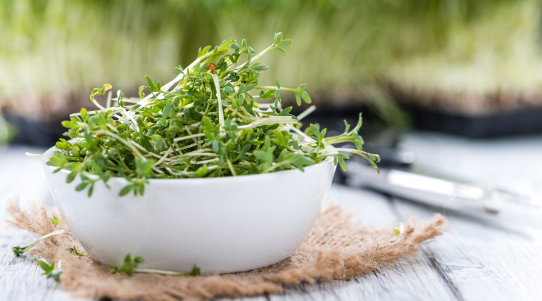 fitoquimico-presente-no-agriao-e-couve-chinesa-eficaz-no-cancro-da-mama-em-modelo-animal