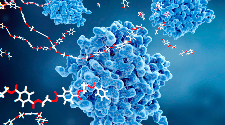 inflamacao-e-telomerase-dois-aliados-do-cancro
