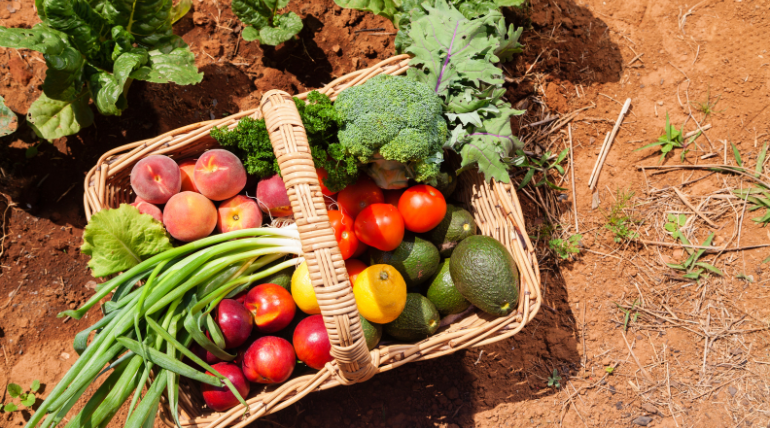 legumes-biologicos-podem-ter-mais-benefocios-para-a-saude