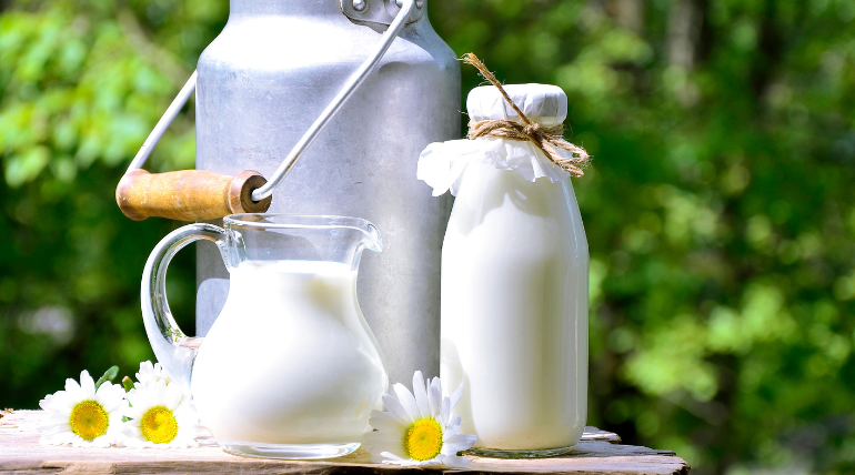 leite-podera-aumentar-risco-de-mortalidade-e-fraturas-osseas