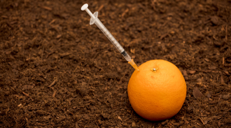 monsantos-e-pecadores-transgenicos-poderao-causar-cancro