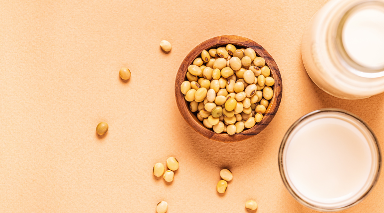 o-consumo-de-soja-podera-aumentar-a-sobrevivencia-ao-cancro-do-pulmao